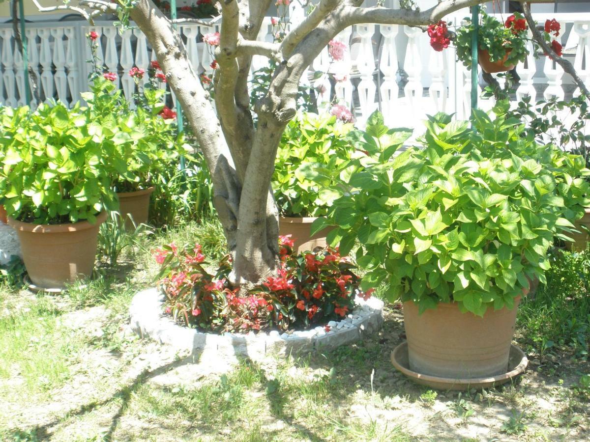 Apartmani I Sobe Mara Palit Esterno foto